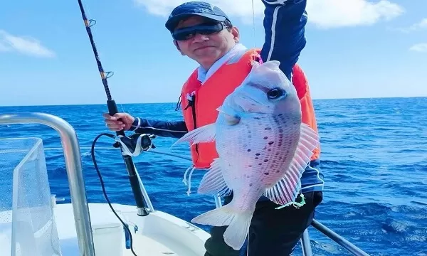 石垣島の鯛は白い綺麗なタイなのです♪